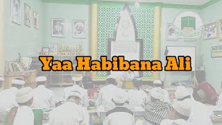 Ya habibana Ali