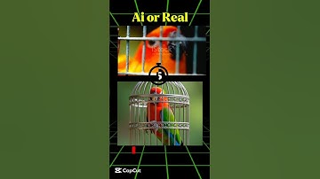 Real or Ai video deference #shortsviral #ai