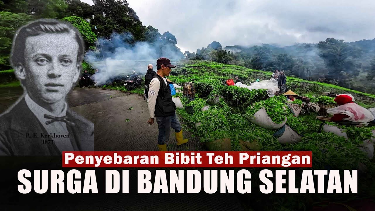 KERKHOVEN - Sang penggagas teh Assamica Indonesia