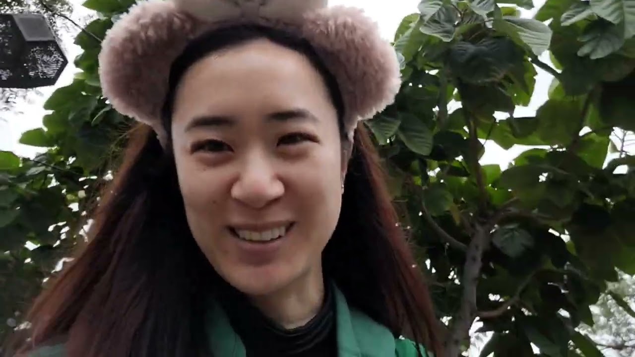 23 + 24. DCA Popcorn Bucket + Guardians - February 6 & 10, 2026