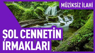 Şol Cennetin Irmakları | Müziksiz İlahi Resimi