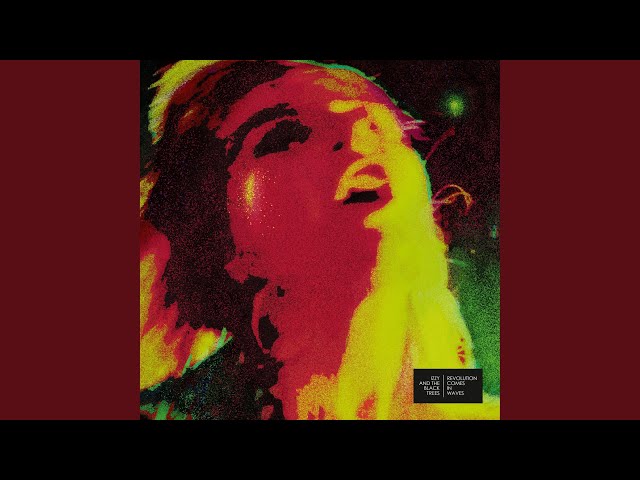 Izzy and the Black Trees - Visions