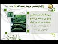 مشكاة النبوة برنامج أئمة الحديث قناة المجد للحديث النبوى 12