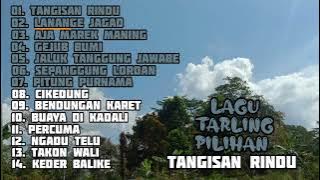 LAGU TARLING PILIHAN || TANGISAN RINDU ||