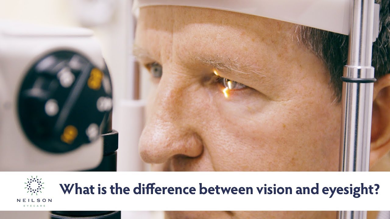 What's the Difference Between Eyesight and Vision?