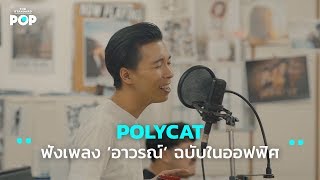 POLYCAT อาวรณ์ (I Want You) ฉบับในออฟฟิศ