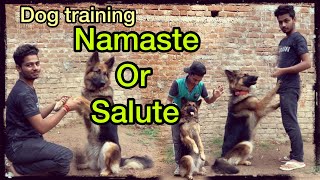 How to teach your Dog | Salute namaste dog training | by Akash comedy