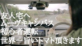 運転 Youtube
