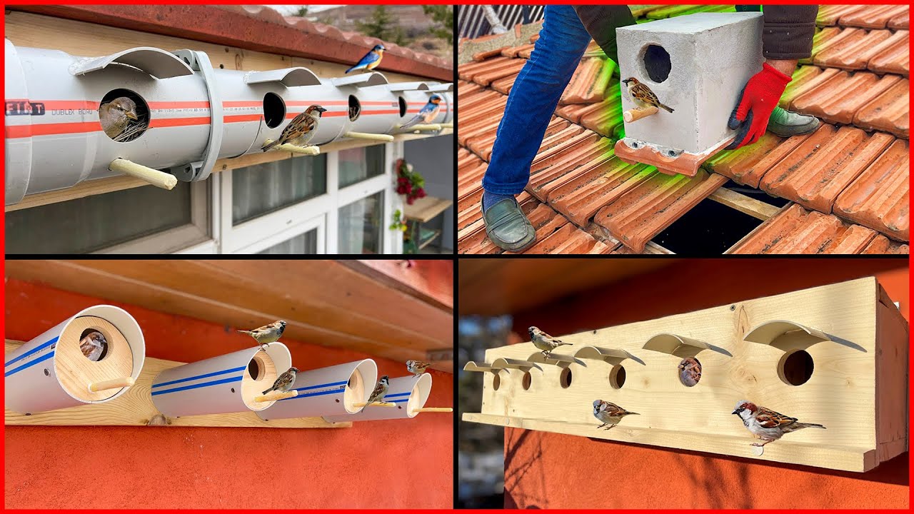 Süper Fikirler | 4 Muhteşem Kuş Yuvası Yapımı