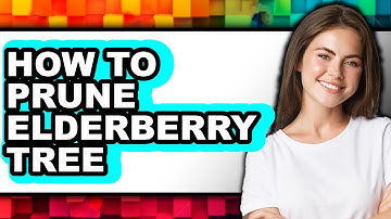 How To Prune Elderberry Tree (UPDATED)