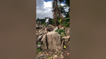 Đất núi Dài 5 Giếng chỉ 40tr công thuộc Tịnh Biên An Giang ( ngũ hổ Sơn 7 núi)