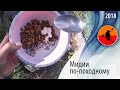 #Мидии по-походному | Туристские блюда из беломорских мидий | Приключения на байдарке