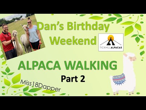 Alpaca Walking Experience | Dan's 33rd Birthday | Tickhill Alpacas | Miss18Dapper | August 2021