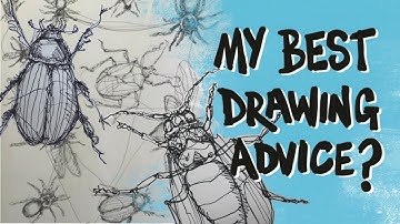 How to draw insects! 4 person combo!