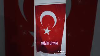 Tik Tok Türk Bayrağı Akımı