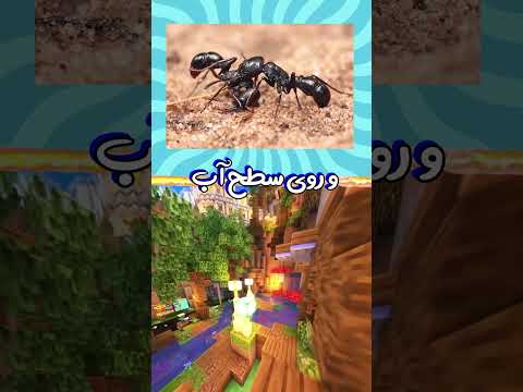 چند تاشو تونستی بگی Shorts سرگرمی شورت چالش Reelsvideo