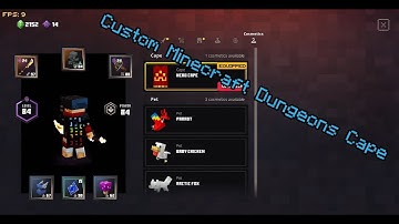 Minecraft Dungeons Custom Cape Mod