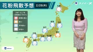 ナノイーX0609号