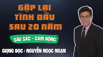 Truyện Đời Nguyễn Ngọc Ngạn: GẶP LẠI TÌNH ĐẦU SAU 20 NĂM: SỰ THẬT TÀN NHẪN PHÍA SAU!
