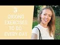 5 Easy Qigong Exercises to Do Every Day - Daily Qigong for Beginners  - Easy Exercises for Seniors