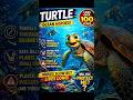 Sea Turtle Life — Slow But Legendary🐢#shorts #ai#turtle