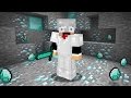 MINECRAFT THE MOVIE! (Minecraft)