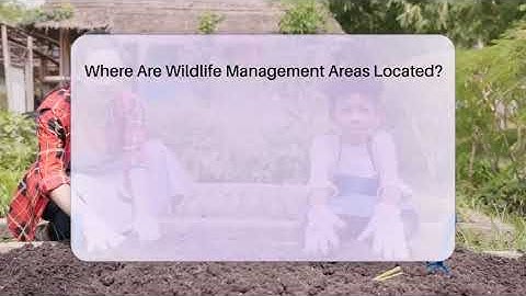 Where Are Wildlife Management Areas Located? - Ecosystem Essentials