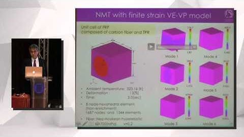 Kenjiro Terada, "Numerical Material and Plate Tests: Advantages and Challenges"