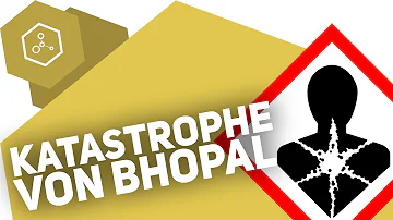 Die Katastrophe von Bhopal