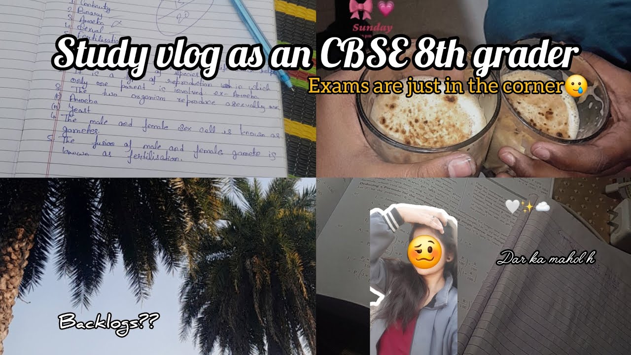 Study vlog as an CBSE 8th grader🥂🧿!! #shorts #minivlog #8thclass #exam #shortvideo #study #vlogs 