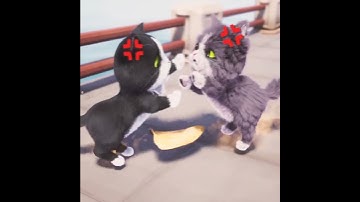 The PURRFECT  game ad kitten match