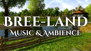 LOTRO | Bree-land Music & Ambience | Day