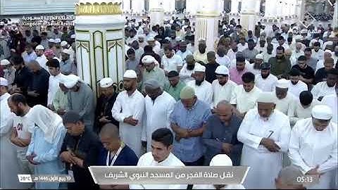 ' فواتح سورة غافر  ١ - ٢٠ ' الشيخ #خالد_المهنا صلاة الفجر ١٩-٣-١٤٤٦ هـ