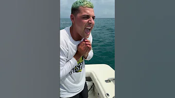 Funny Fishing 