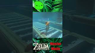 Zelda BOTW - This shrine almost made me rage! #zelda #shortsfeed