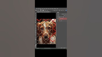 Dog Fence Remove #music #photoshop #youtubeshorts #edit
