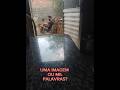 PALAVRAS  #crianças criança #videoinfantil