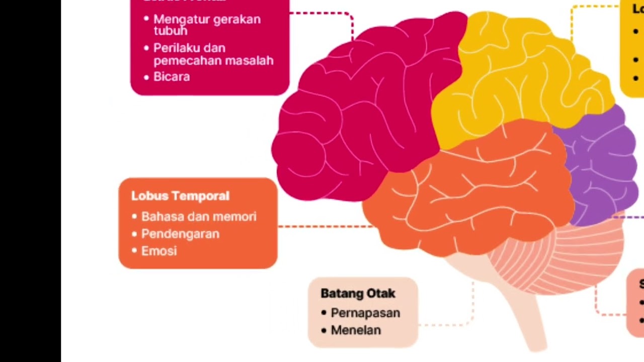 Video ini dibuat untuk memenuhi tugas mata kuliah psikologi agama, Dosen pengampu : Sugiarto M. Psi 
