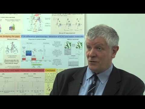 Hydrophilic channels in membrane proteins Instructional Video