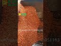 corn skin removing machine/corn dehuller/corn peeler/corn peeling machine/how to peel corn skin?