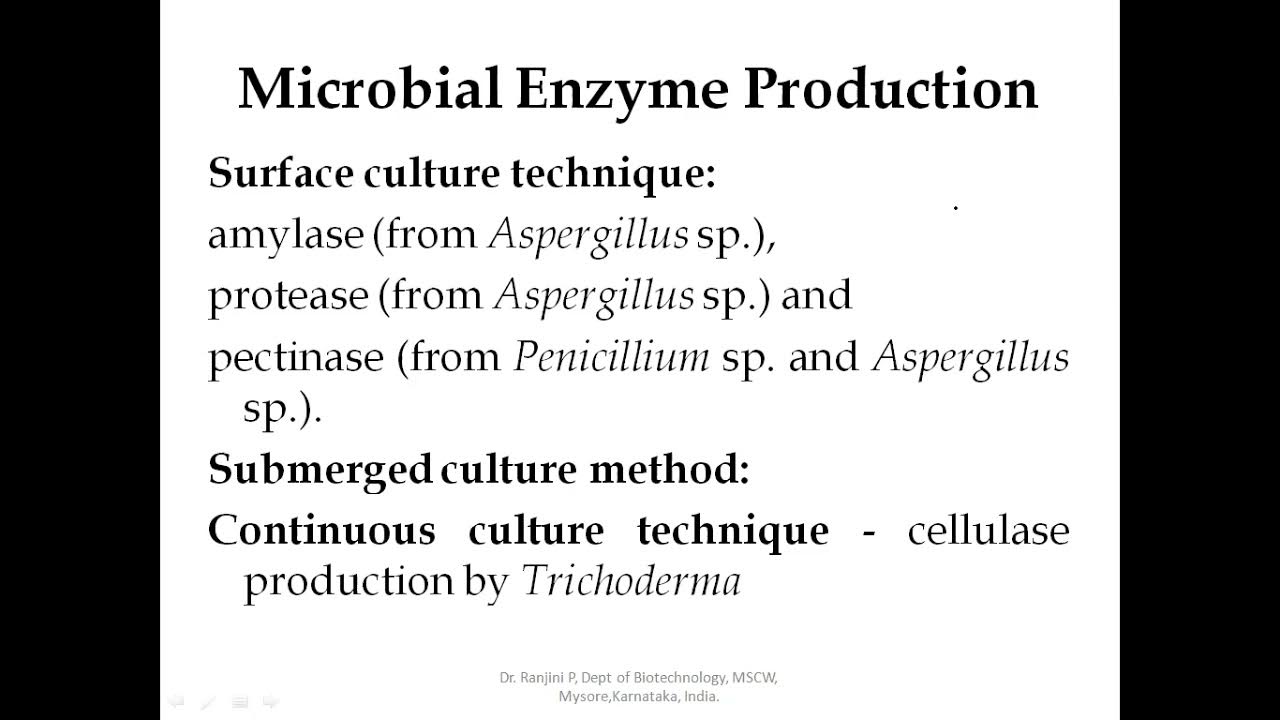 Microbial Enzymes YouTube