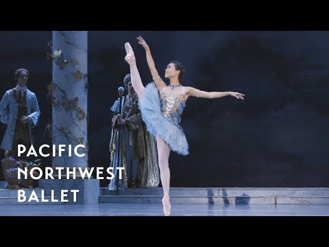 The Sleeping Beauty