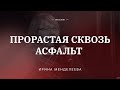 🎵 ПРОРАСТАЯ СКВОЗЬ АСФАЛЬТ – Ирина Менделеева / Центр духовного возрождения, Los Angeles