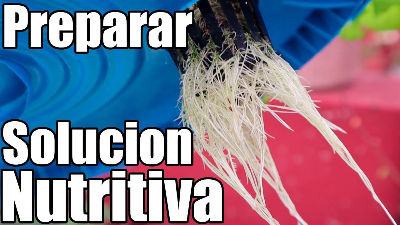 Como preparar solución nutritiva universal HIDROPONICA  || México Verde