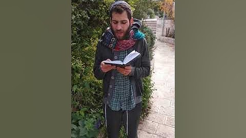 Parshat miketz the cow dream !