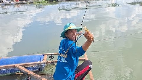 Câu tôm trên bè lần đầu tiên thấy con tôm càng to đến vậy luôn | vui miền tây vlog