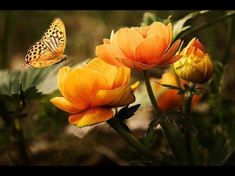 ПЕЧАЛЬНАЯ ГРУСТНАЯ МУЗЫКА - Пусть ваша печаль и грусть останутся в прошлом.