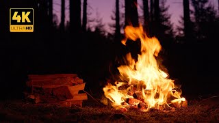 4K 📺 Night Forest Campfire after Sunset - Soothing Sounds of Nature