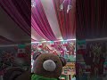 Vanellope S Mini Vlog Monterrey Vanellope S Mini Vlog Monterrey