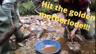 Gold Mining the richest gold deposit we have found yet!!!